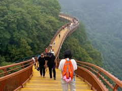 -少华山国家森林公园