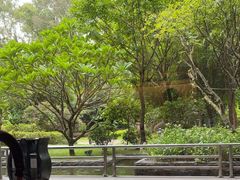 -南宁荔园维景国际酒店·荔园中餐厅