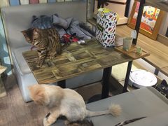 -小时光咖啡馆(开森度假森林店)