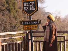 -莫干山风景区