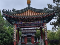 -武汉园博园(武汉自然博物馆)