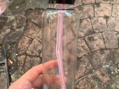 -罗汉果龙眼冰糖燉冬瓜