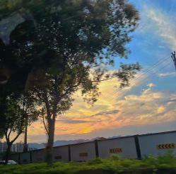 -重庆医科大学附属儿童医院(两江院区)