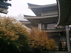 景点-陕西历史博物馆