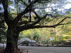 -广州市石门国家森林公园