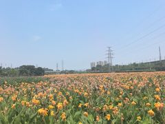 -那考河湿地公园