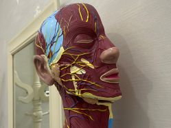 -杭州奥拉克医疗美容门诊部