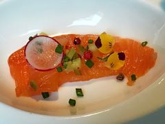 -蝶舍·MAISON PAPILLON