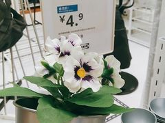 -IKEA宜家家居(南京商场)