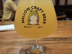 油柑橄酸艾尔-麦落精酿啤酒餐吧(先农大院店)