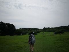 -鹅銮鼻公园