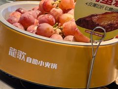 -龍歌自助小火锅(秦淮水游城店)