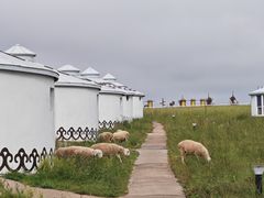 -呼伦贝尔大草原巴尔虎蒙古部落民俗旅游度假景区