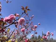 -柳鹭田园区