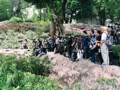 -晓港公园