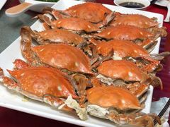 -集贤阁海鲜酒楼(北辰总店)
