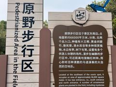 -大湾区中央湿地公园