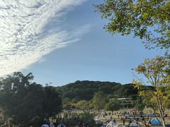 -牛岗山公园