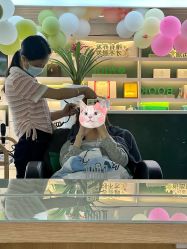 -章光101防脱养发荟