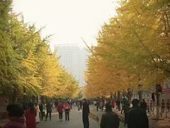 -辽宁大学(崇山校区)