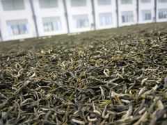 -中华茉莉园