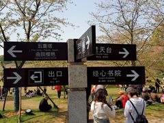 -东湖落雁景区