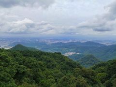 -梧桐山风景名胜区