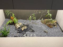 -本处·素食·融合料理(南油店)