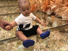 -东方之珠海鲜酒楼(南开店)