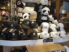 -熊猫屋(宽窄巷子景区店)