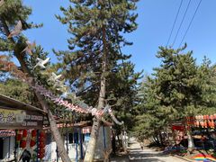 -官滩沟风景区