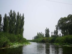 -白洋淀景区