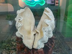 -中国湿地博物馆