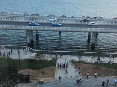 -演武大桥观景平台