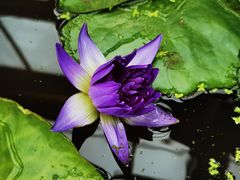 -北京植物园-展览温室