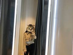 -ZARA(皇城恒隆广场店)