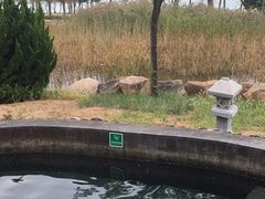 -青岛海泉湾度假区温泉