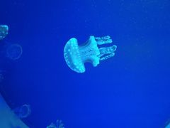 -福州罗源湾海洋世界旅游区