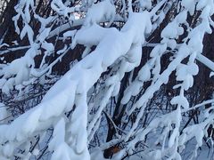 -中旅松花湖滑雪场
