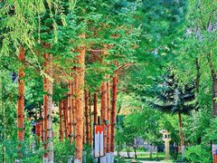 -大乘寺