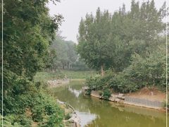 -大兴滨河森林公园