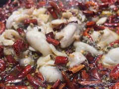 -金三可市井水煮鱼(金碧园店)