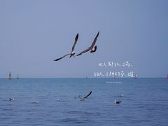 -莫内艺术岛海景咖啡