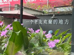 -老友王·南宁特色菜(金汇如意坊店)