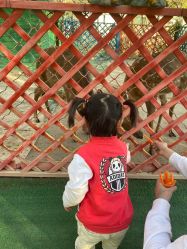 -萌宠亲子动物乐园(槐房万达店)