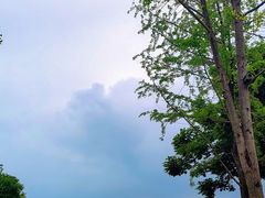 -星湖特色餐厅· 三岔湖环球融创天堂洲际酒店