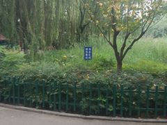 -西安市长乐公园