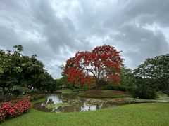 -中国科学院西双版纳热带植物园