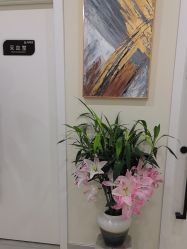 -海涛医疗美容·面部抗衰·注射美鼻