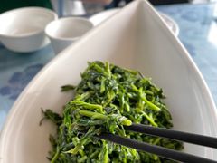 养生枸杞苗-老毛手抓·盐池滩羊手抓(宁夏总店)